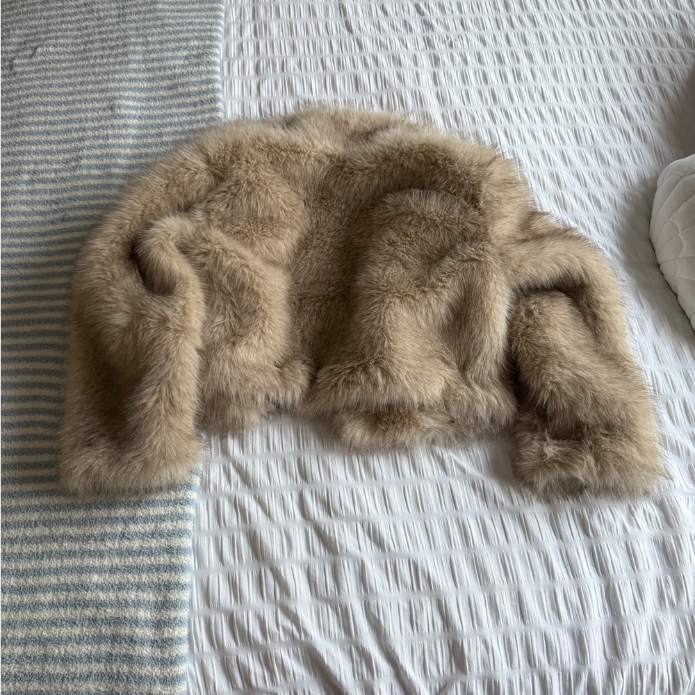 H&M Cropped Fur Coat - Picture 3 of 4